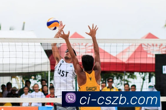 彩神争霸发展历程